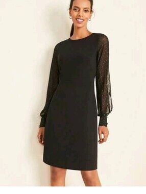 NWT Ann Taylor Black‎ Sheer Shimmery Clip Long Sleeve Crew Neck Shift Dress 12